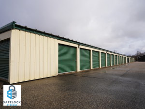 Storage unit Cost